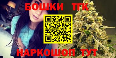 индика Пушкино
