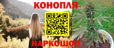 индика Пушкино