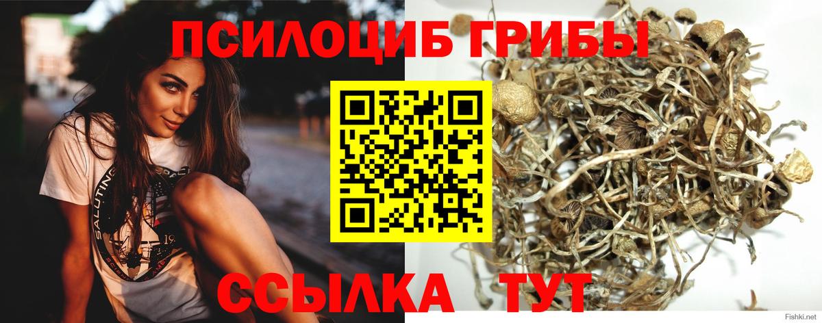 Реутов  Псилоцибиновые грибы ЛСД  Вход с VPN  Галлюциногенные грибы ЛСД 