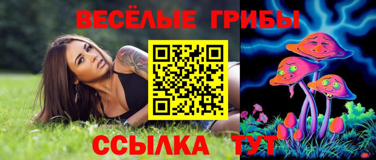 Псилоцибиновые грибы GOLDEN TEACHER Реутов
